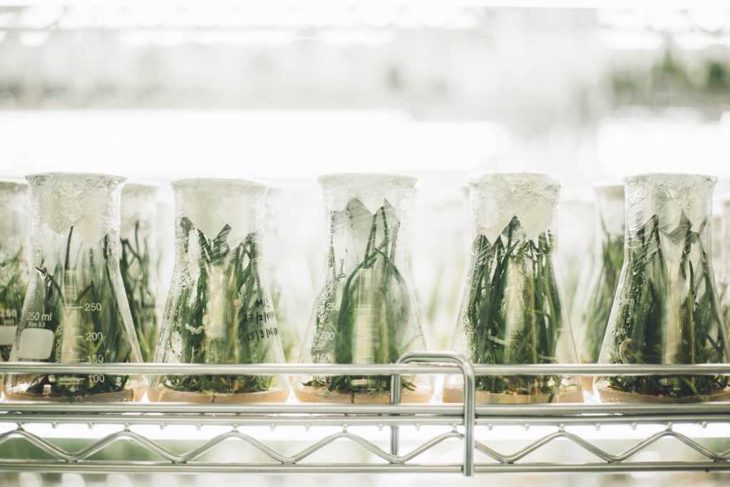 Biomimetic - Mô phỏng sinh học, xu hướng mới của ngành mỹ phẩm dưỡng da