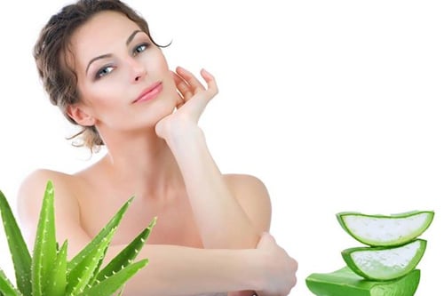Nha đam là “cứu tinh” cho làn da mụn nhờ khả năng kháng khuẩn, giảm viêm và làm sạch lỗ chân lông.