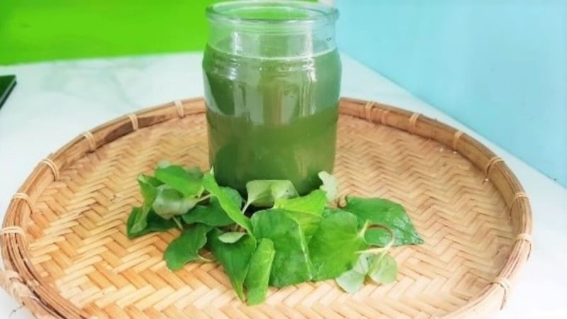 Tác dụng của rau diếp cá đối với làn da
