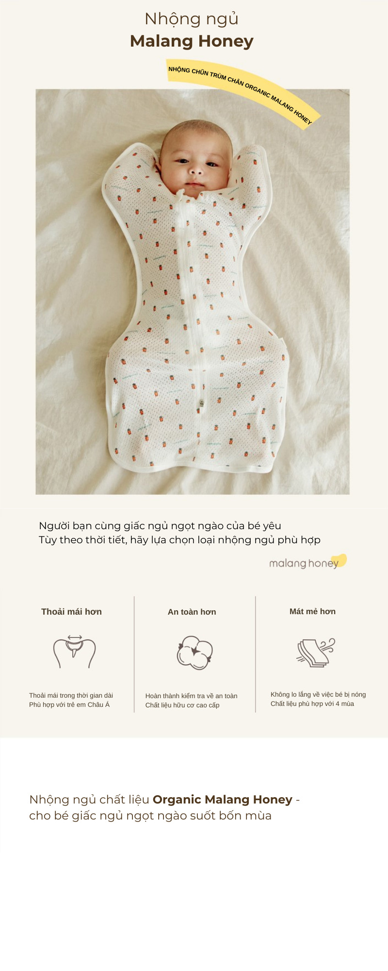 Nhộng Malang Honey cao cấp Hàn Quốc