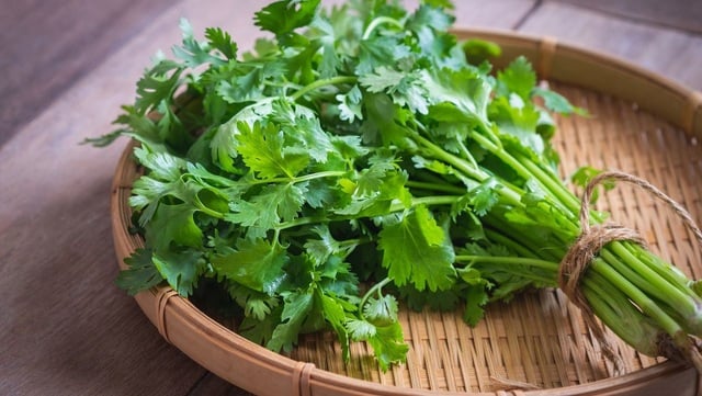 Rau mùi là một chất kháng khuẩn, sát trùng và kháng nấm, khắc phục tình trạng da nhờn nhờ vào khả năng hút dầu thừa hiệu quả.
