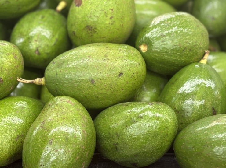 Bơ là loại trái cây cung cấp một lượng lớn vitamin A, C, E, cùng với chất béo không bão hòa đơn lành mạnh