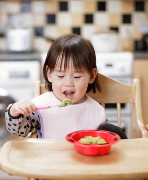 Giáo Trình Rèn Ăn Dặm – Gói 6 Tháng